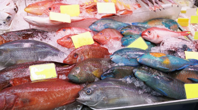 市場に並ぶ鮮魚